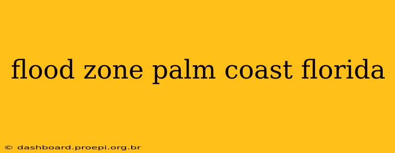 flood zone palm coast florida